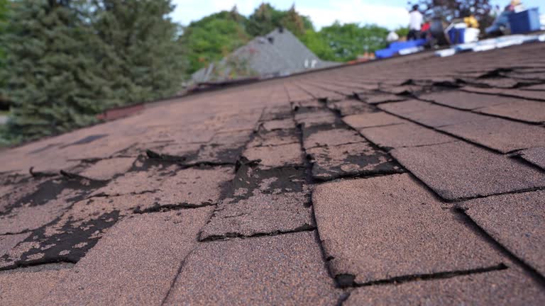 Best Cold Roofs  in Newpt, OR